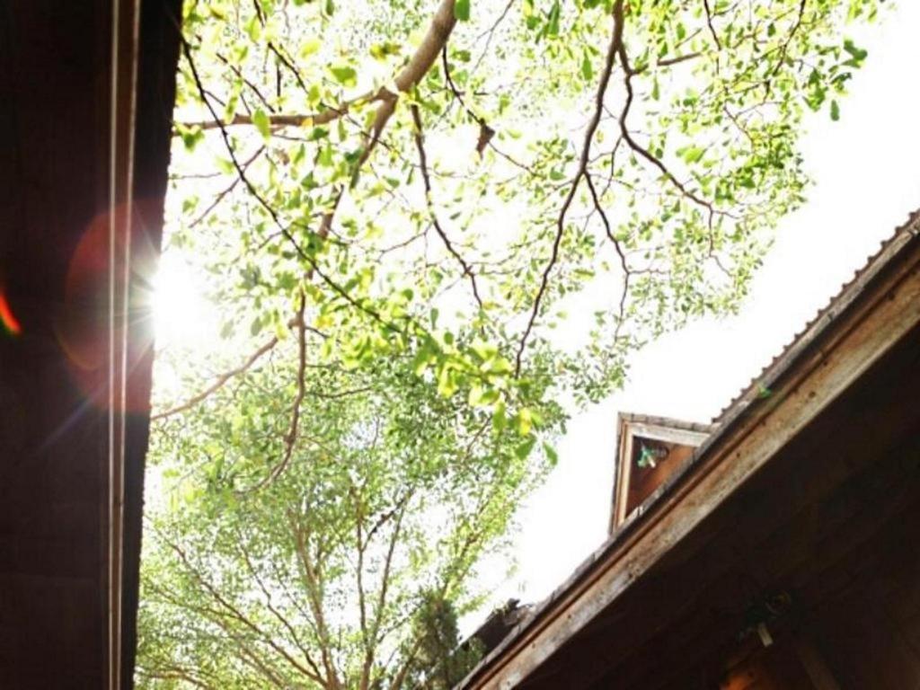 Loghome Boutique Chiang Mai Exterior photo